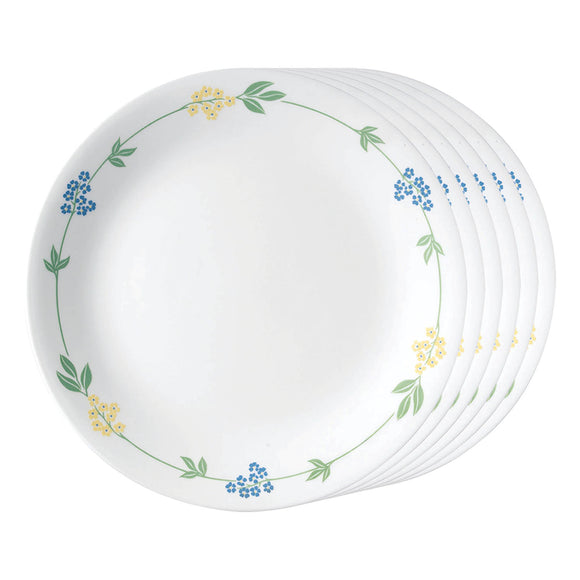 Corelle Secret Garden Glass Dinner Plate Pack of 6, 26CM, Multicolor