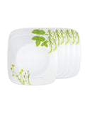 Corelle Asia Square Round Collection European Herbs 26.7 cm Square Round Dinner Plate  Pack Of 6