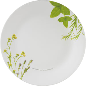Corelle Corelle Asia Collection European Herbs 26 cm Dinner Plate Pack of 6